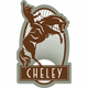 View Website
