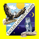 View Website