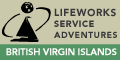 View Website