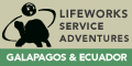 View Website