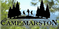 View Website