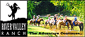 View Website