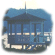 View Website