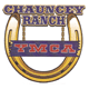 View Website